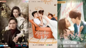 Older Woman and younger man Chinese drama